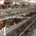 Jaula de batería de pollo galvanizada de malla de alambre automático completo en Dubai